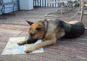 Hera Photo